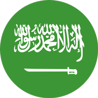 SA flag