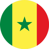 SN flag